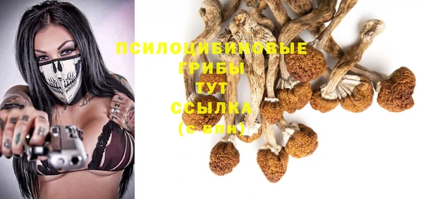 ГАЛЛЮЦИНОГЕННЫЕ ГРИБЫ Баксан