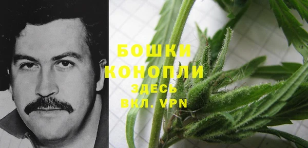 сатива Всеволожск