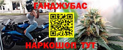 крисы Ставрополь