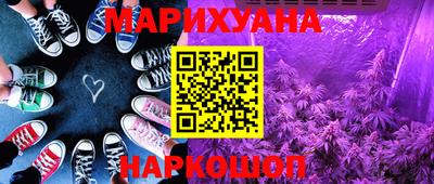 крисы Ставрополь