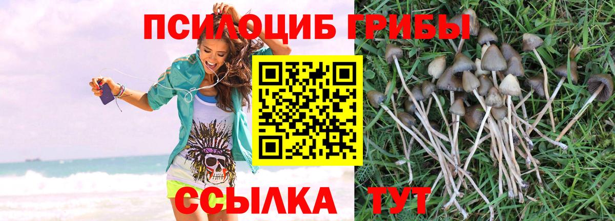 Галлюциногенные грибы ЛСД  Вход с VPN  Сегежа  Псилоцибиновые грибы Psilocybe 