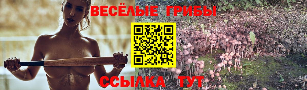 Псилоцибиновые грибы Magic Shrooms Сегежа