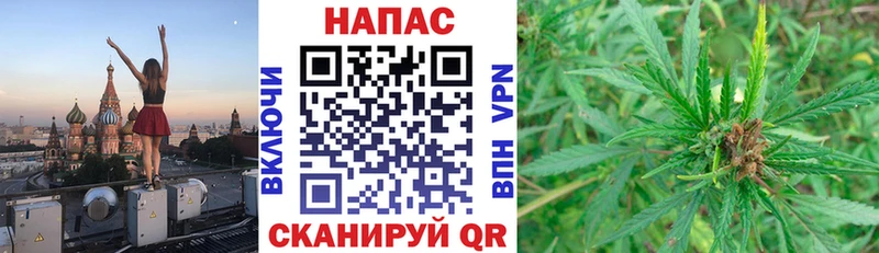 цена   Сегежа  Шишки марихуана план 