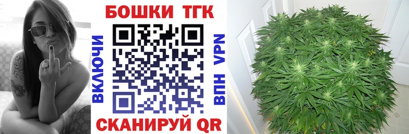 Бошки марихуана конопля Сегежа